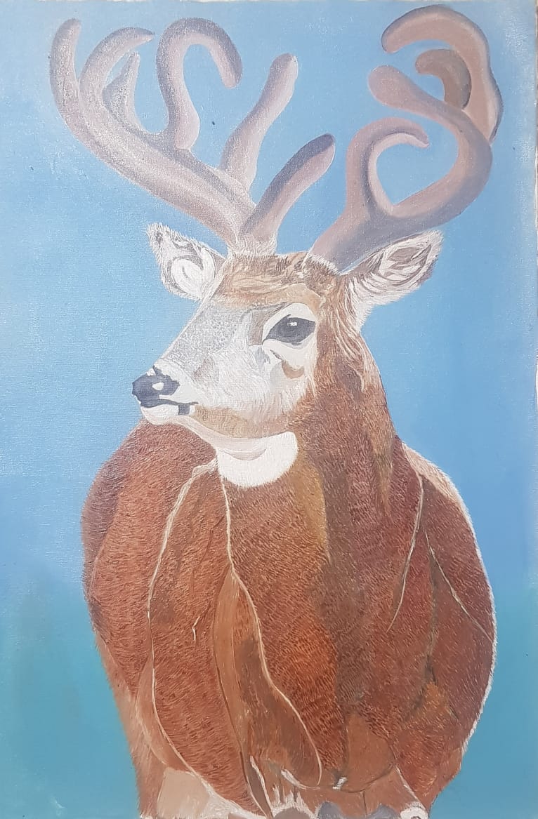 BLACK BUCK